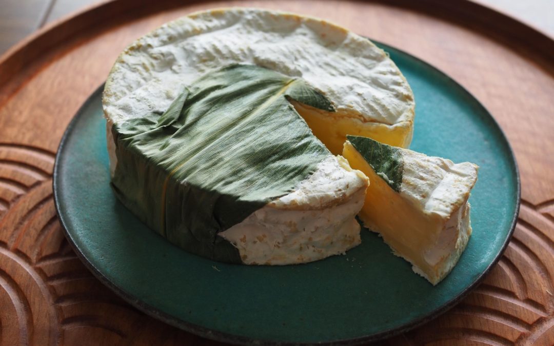 Cheese: Dairy in Japan