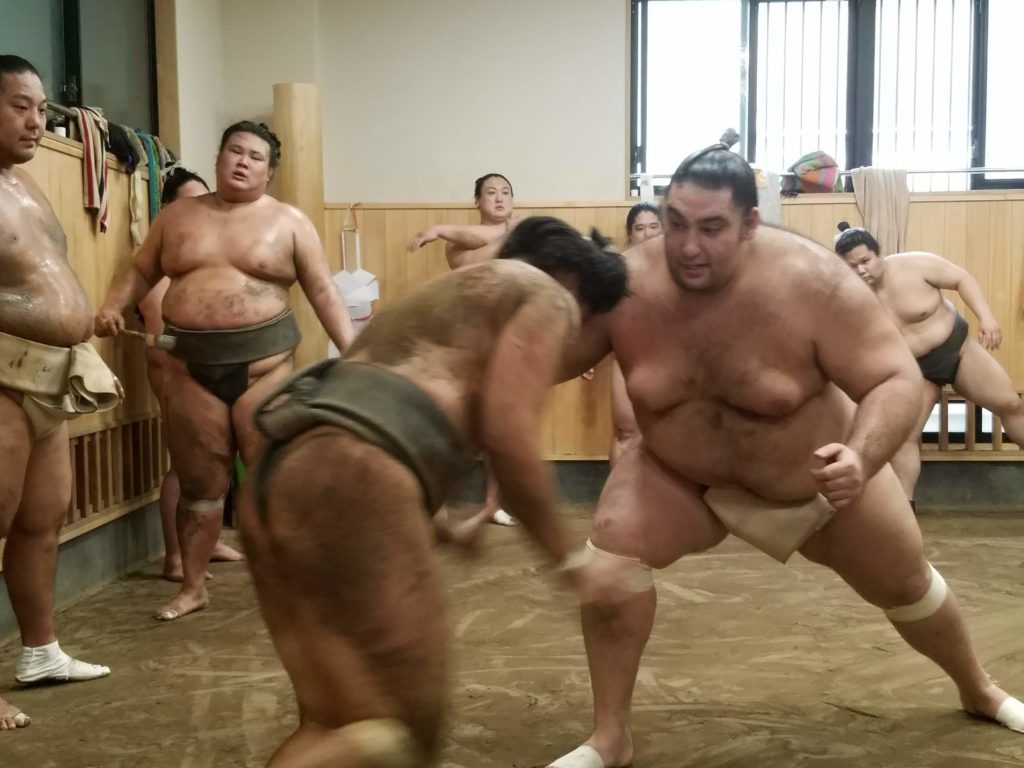 Sumo wrestlers practicing in Asakayama stable.