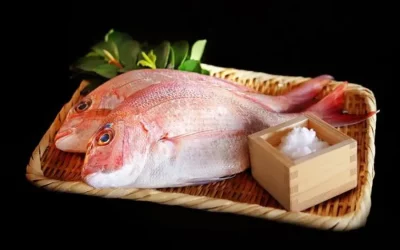 Tai from Ehime: Interview at a Sea Bream Restaurant
